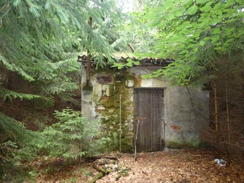 Foto 12